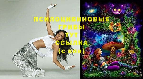 PSILOCYBIN Дмитровск