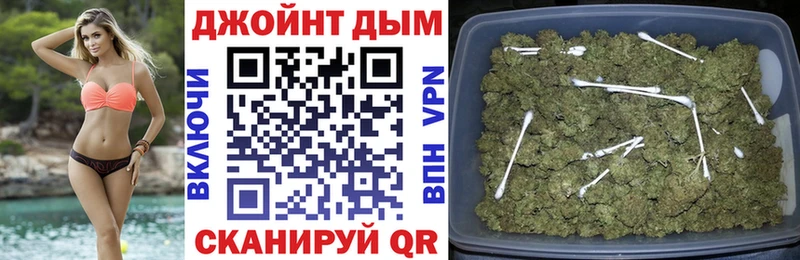 Купить закладки  Дмитров  Бошки Шишки ГИДРОПОН 